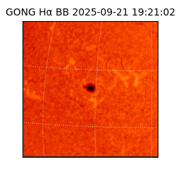 gong - 2025-09-21T19:21:02