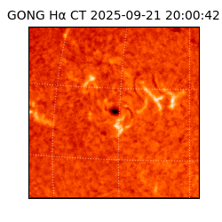 gong - 2025-09-21T20:00:42