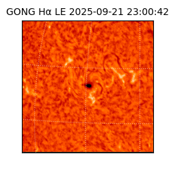 gong - 2025-09-21T23:00:42