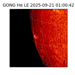 gong - 2025-09-21T01:00:42