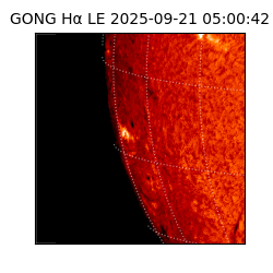 gong - 2025-09-21T05:00:42