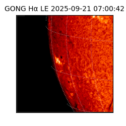 gong - 2025-09-21T07:00:42