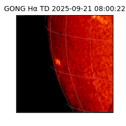 gong - 2025-09-21T08:00:22