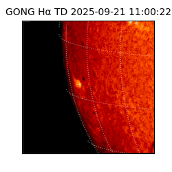 gong - 2025-09-21T11:00:22