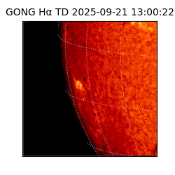 gong - 2025-09-21T13:00:22