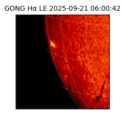 gong - 2025-09-21T06:00:42