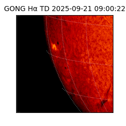 gong - 2025-09-21T09:00:22