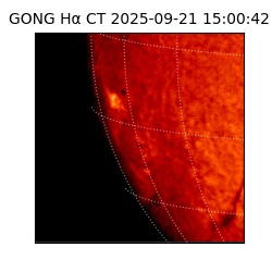 gong - 2025-09-21T15:00:42