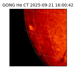 gong - 2025-09-21T16:00:42