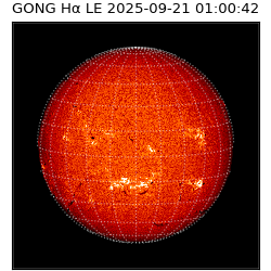 gong - 2025-09-21T01:00:42