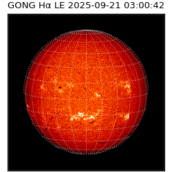 gong - 2025-09-21T03:00:42