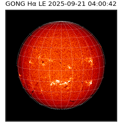 gong - 2025-09-21T04:00:42