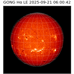 gong - 2025-09-21T06:00:42