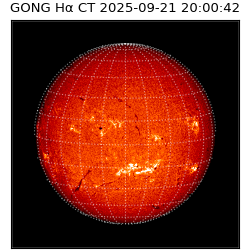 gong - 2025-09-21T20:00:42