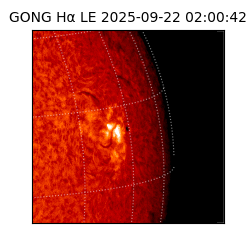 gong - 2025-09-22T02:00:42