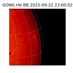 gong - 2025-09-22T23:00:02
