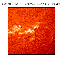 gong - 2025-09-22T02:00:42