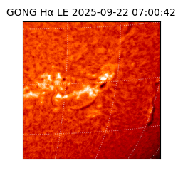 gong - 2025-09-22T07:00:42