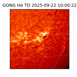 gong - 2025-09-22T10:00:22