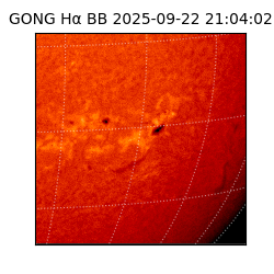 gong - 2025-09-22T21:04:02