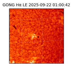 gong - 2025-09-22T01:00:42