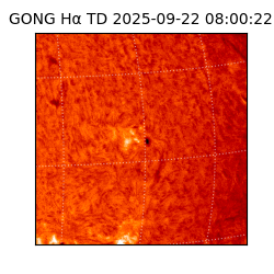 gong - 2025-09-22T08:00:22