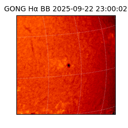 gong - 2025-09-22T23:00:02