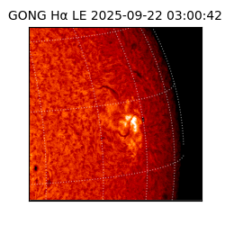 gong - 2025-09-22T03:00:42