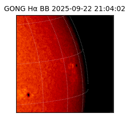 gong - 2025-09-22T21:04:02