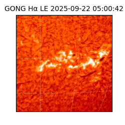 gong - 2025-09-22T05:00:42