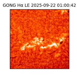 gong - 2025-09-22T01:00:42