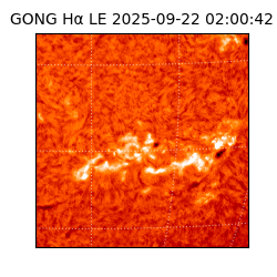 gong - 2025-09-22T02:00:42