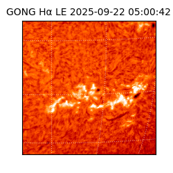 gong - 2025-09-22T05:00:42