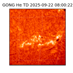 gong - 2025-09-22T08:00:22