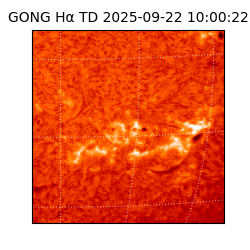 gong - 2025-09-22T10:00:22