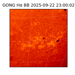 gong - 2025-09-22T23:00:02