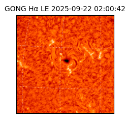 gong - 2025-09-22T02:00:42