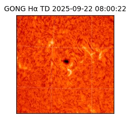 gong - 2025-09-22T08:00:22