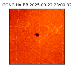 gong - 2025-09-22T23:00:02