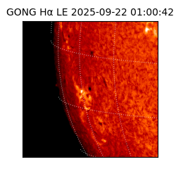 gong - 2025-09-22T01:00:42