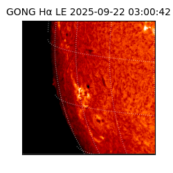 gong - 2025-09-22T03:00:42