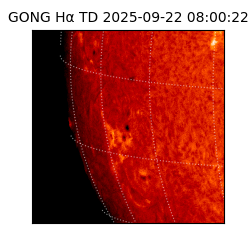 gong - 2025-09-22T08:00:22