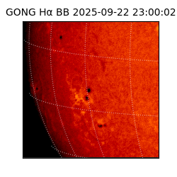 gong - 2025-09-22T23:00:02