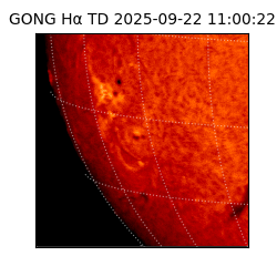 gong - 2025-09-22T11:00:22