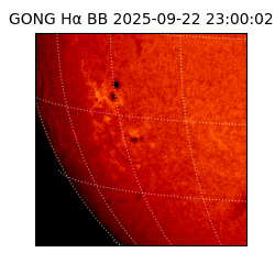 gong - 2025-09-22T23:00:02