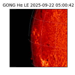 gong - 2025-09-22T05:00:42