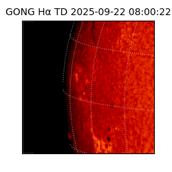 gong - 2025-09-22T08:00:22