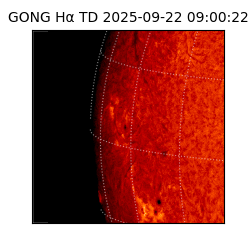 gong - 2025-09-22T09:00:22