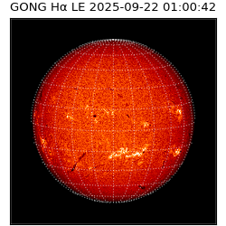 gong - 2025-09-22T01:00:42