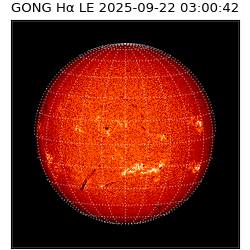 gong - 2025-09-22T03:00:42